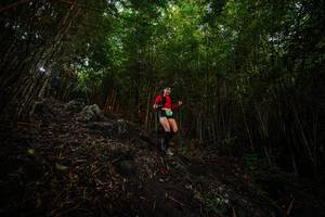 BIB: 
                            <button type="button" onclick="openModal(25096037)" class="btn btn-primary btn-sm float-right btn-popup" data-toggle="modal" data-target=".modal-high-quality">
                        <i class="fas fa-shopping-cart"></i> Add to Cart
                    </button>
                                            <button type="button" onclick="isThisMe(25096037, true)" class="btn btn-success btn-sm float-right btn-popup btn-isme hidden" data-toggle="tooltip" data-placement="bottom" title="นี่คือรูปของคุณใช่ไหม คลิกที่นี่เพื่อเอาเข้าอัลบั้ม">
                        <i class="fas fa-plus"></i> Add to album
                    </button>
                    <button type="button" onclick="isThisMe(25096037, false)" class="btn btn-warning btn-sm float-right btn-popup btn-isnotme hidden">
                        <i class="fas fa-ban"></i> Remove from album
                    </button>